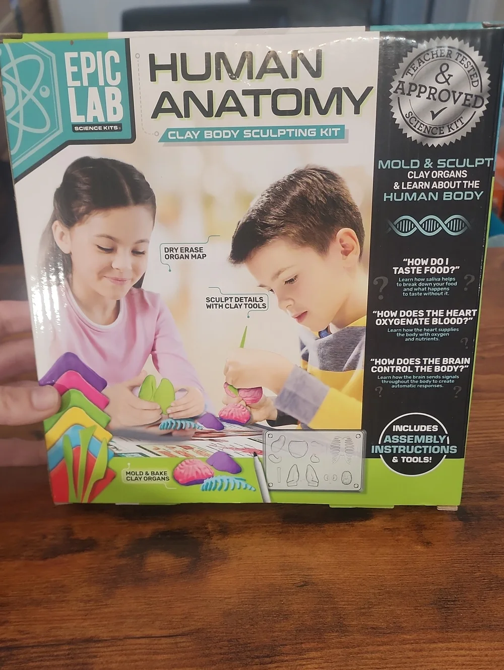 Epic Lab Human Anatomy Clay Body Science Kit - Multicolor Brand New Never Opened
